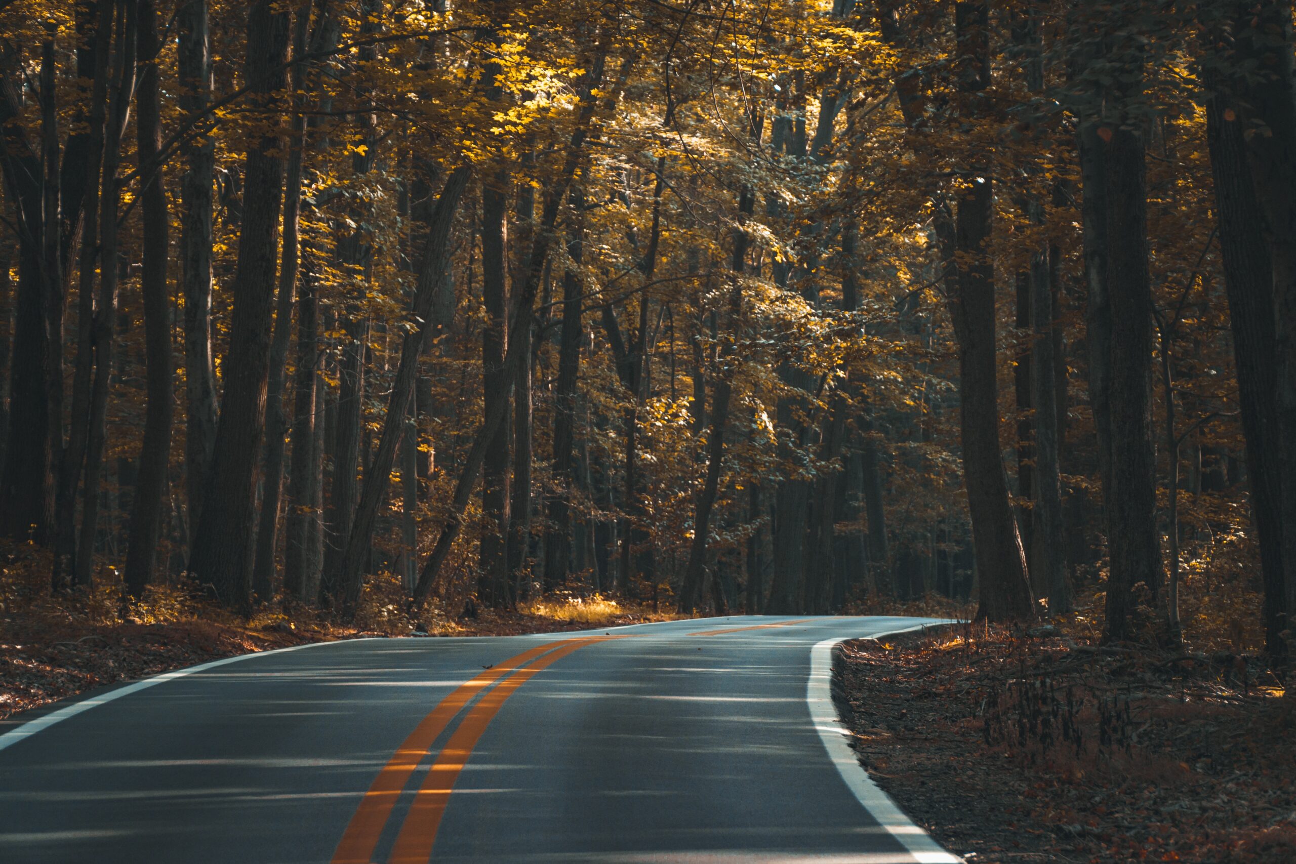 asphalt-1867667
